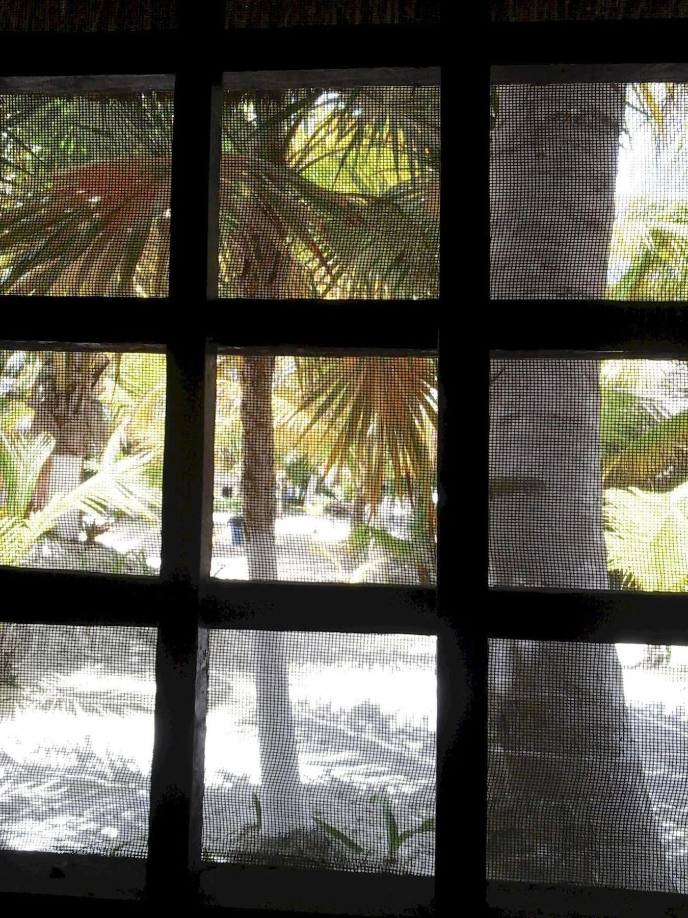 Hotel Zazil Kin Tulum Extérieur photo